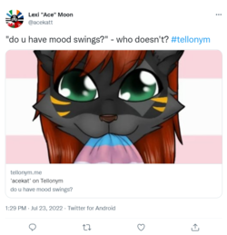 screencapture-twitter-acekatt-status-1550880694041251840-2022-07-24-01_13_26.png