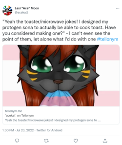 screencapture-twitter-acekatt-status-1550880934991466496-2022-07-24-01_16_20.png