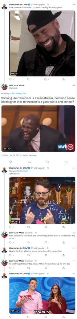 screencapture-twitter-acekatt-status-1550967131306688513-2022-07-24-02_21_05.png