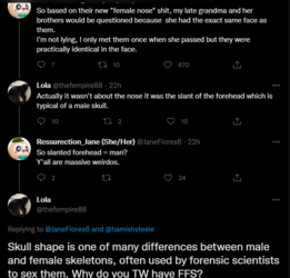 skull shape is wrong.PNG skull shape is wrong.PNG
