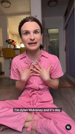 Insp 13.png