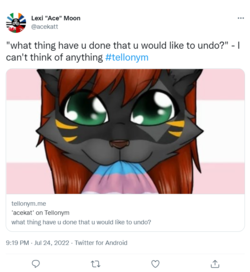 screencapture-twitter-acekatt-status-1551361374269460483-2022-07-24-21_54_13.png