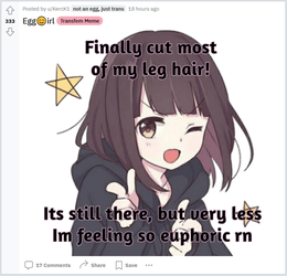 Untitled1.png