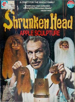 flashbakshrunkenhead2[1].jpg