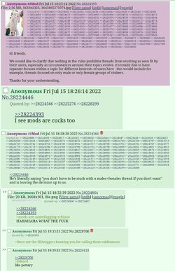1658785161756109.jpg