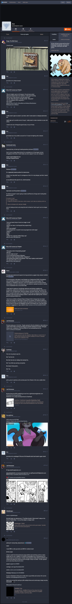 Screenshot 2022-07-25 at 18-39-26 Ace (@acekat@awoo.space).png