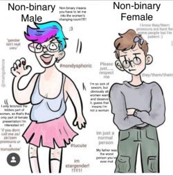 1657735067262.png