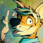 idiotheadshot.jpg