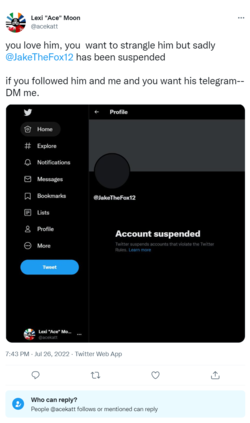 screencapture-twitter-acekatt-status-1552062036540067840-2022-07-26-20_01_04.png