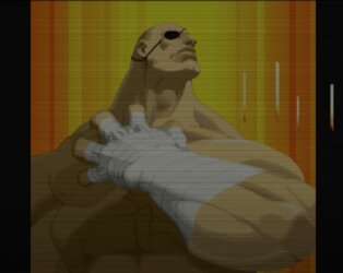 interlacing1.JPG