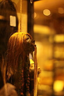 220px-Shrunken_head_amazon_pitt_rivers.jpeg