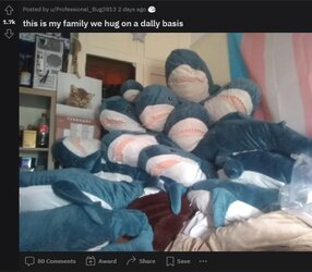 shark.jpg