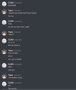 yaque a5.jpg