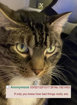 128953912531.png