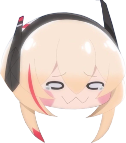 sopmod.png