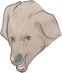 Thhrang L.png