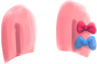 Pippa Ears 02.png