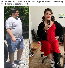 translater2.png