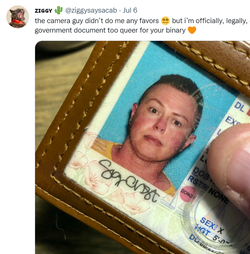 ziggylicense.png