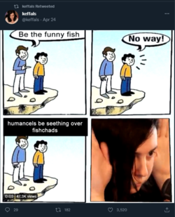 le funny fish xd.png