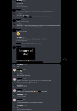 11.png