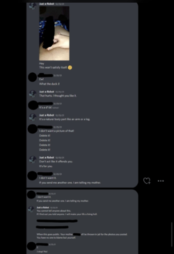 13.png