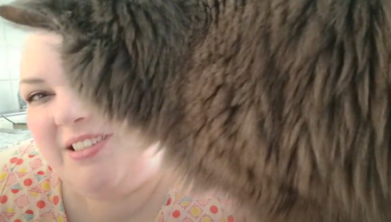1659220547709.png