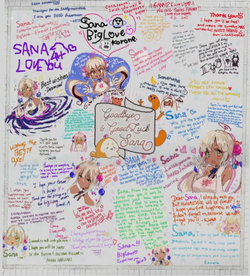 SanaStitch.png