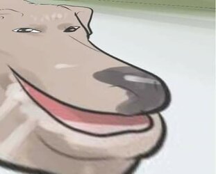 1df.jpeg