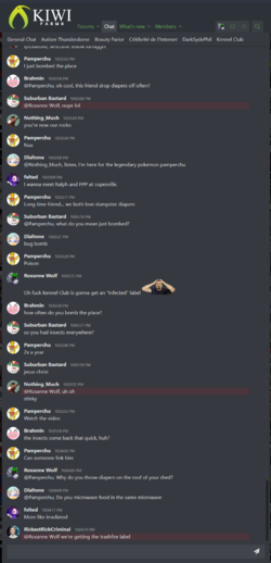 21_result.png