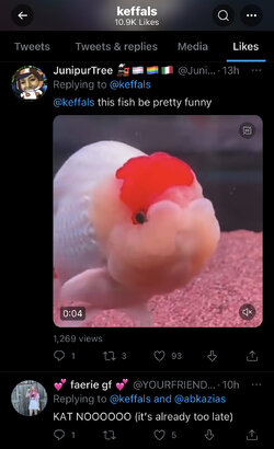 3E455748-C9B3-4760-B4FA-2BAF4494AC3D.jpeg