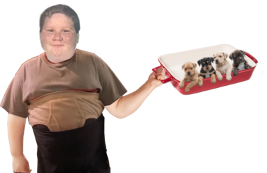 guntkidpuppies.png