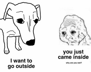 20220802_134412.jpg