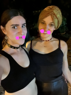 theydiesandgentlethemsthefabuloustroons.png