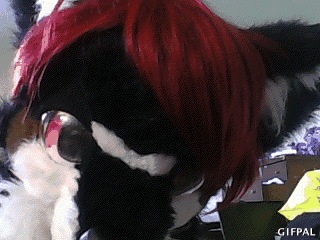 pippa fursuit.gif