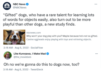 dogs.png