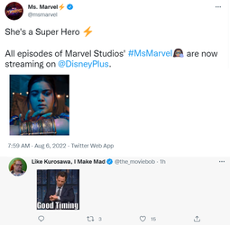 msm.png