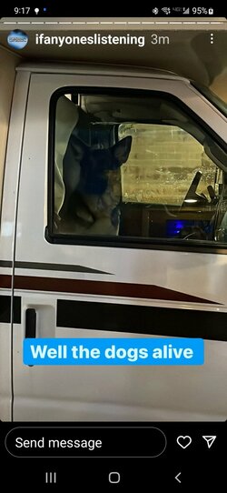 doginRV.jpg