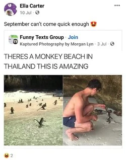 1659788210088.png 1659788210088.png