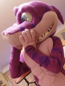 7.png