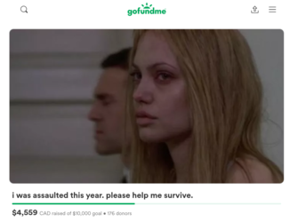 Screenshot 2022-08-06 at 19-25-19 i was assaulted this year. please help me survive. organised...png