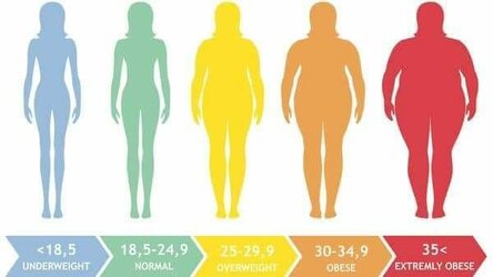 bmi-pic.jpg