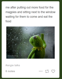 1659927200169.png