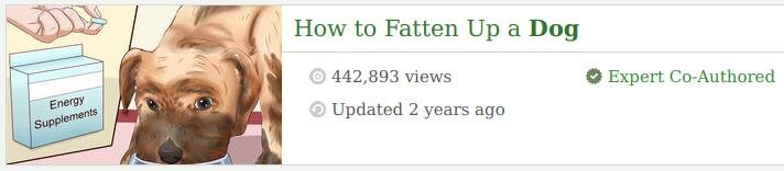fattendog.jpeg