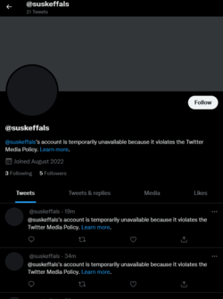 Screenshot 2022-08-09 at 09-51-27 (@suskeffals) _ Twitter.png