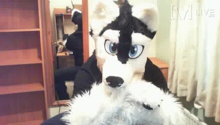 newpichusky (1).jpg