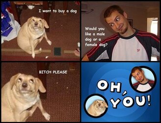 bitchplease.jpg