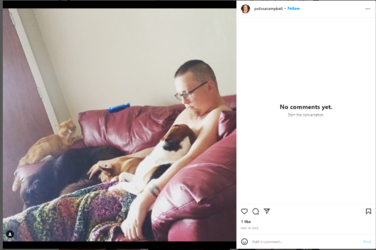 3_dogs_1_couch.png