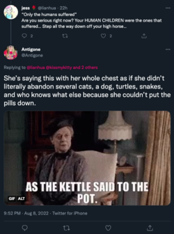 1660090206927.png