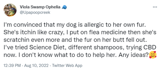 dog.PNG